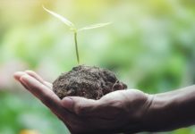 ECOLOGIA: Affitti eco-sostenibili di Home at Hotel grazie a SeDiciAlberi
