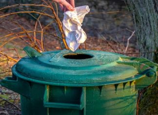 ECO-SCUOLA: Parte il progetto a Bibbiano e a Rio