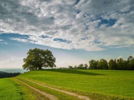 Made Green in Italy, decolla lo schema di certificazione per le eccellenze sostenibili